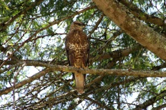 20190111114012_IMG_7156