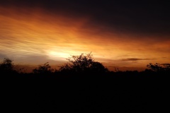 Masorini-Bush-Lodge-2023-22