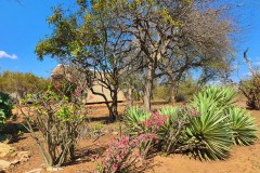 Masorini-Bush-Lodge-2023-19