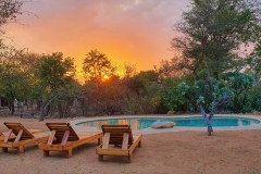 Masorini-Bush-Lodge-2023-15